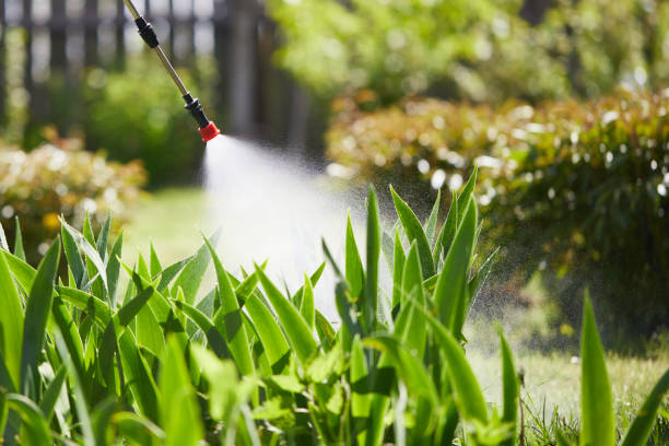 24/7 Emergency Wasp Removal experts in Hampton, SC