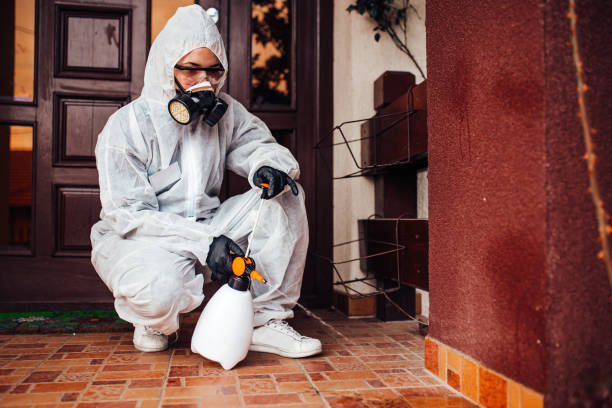 Reliable Wasp Removal contractor in Hampton, SC by Show Me Pest Control